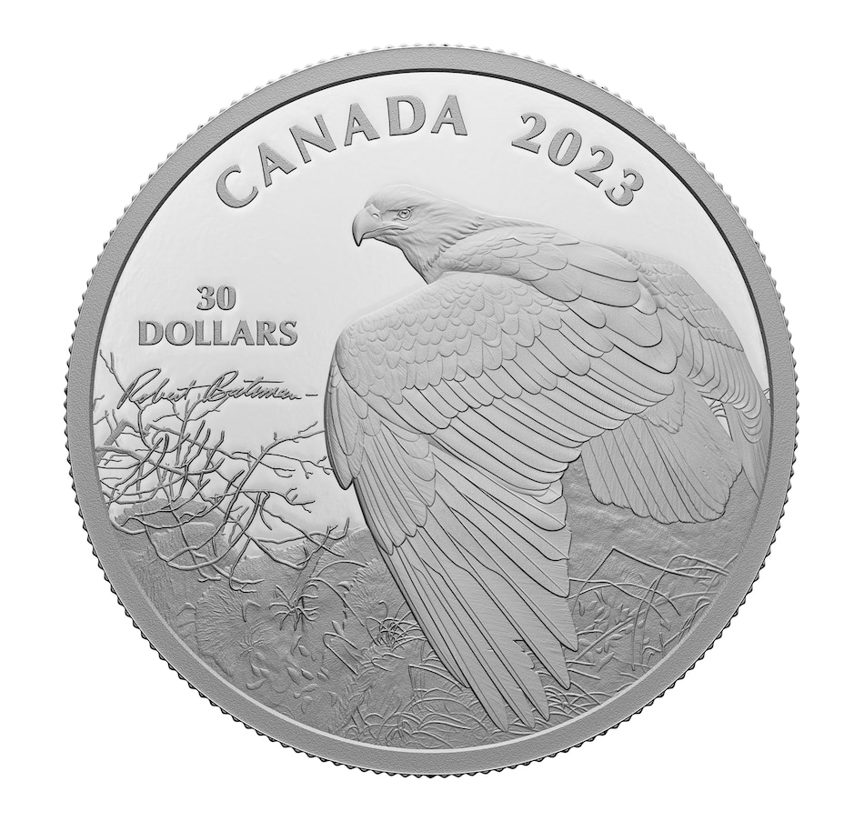 Image 734403.jpg, Product 734-403 / Price $229.95, 2023 $30 Bald Eagle Robert Bateman Two-Ounce Fine Silver Coin from Royal Canadian Mint on TSC.ca's Coins department