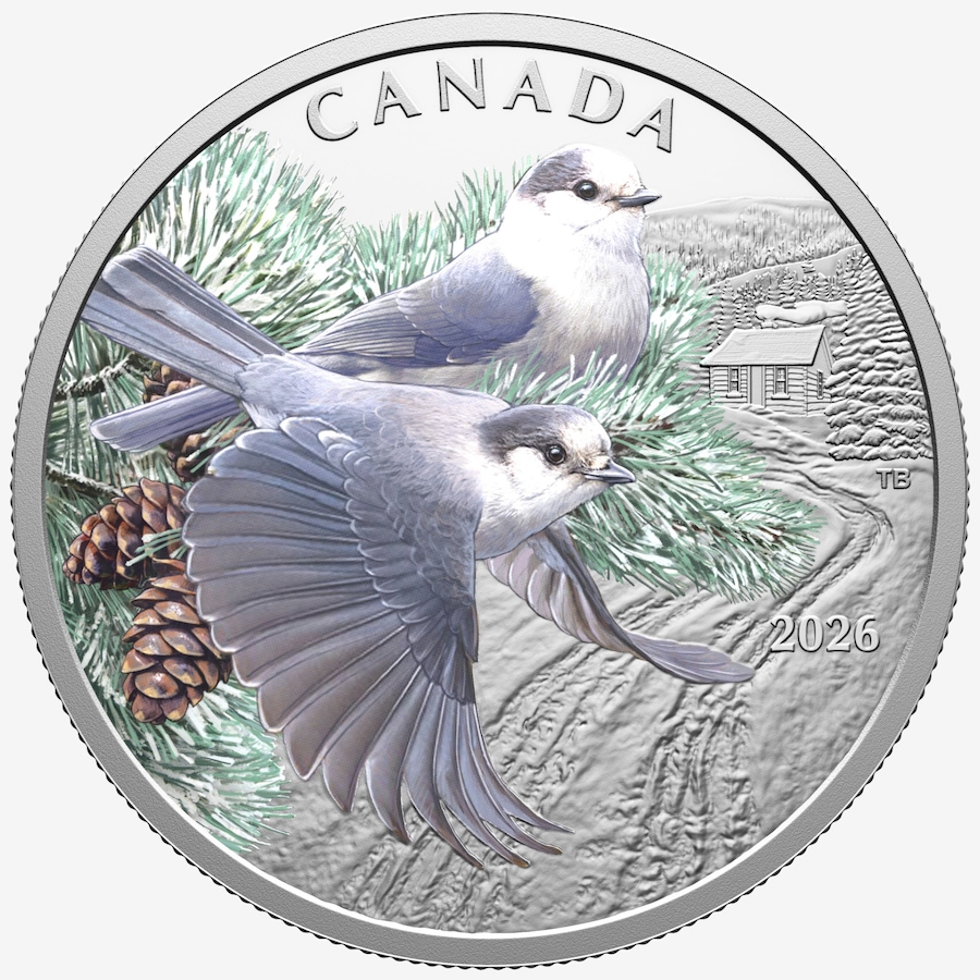 Image 734978_ALTMORE2.jpg, Product 734-978 / Price $229.95, 2026 $20 Canada Jays Fine Silver Coin from Royal Canadian Mint (RCM) on TSC.ca's Coins department