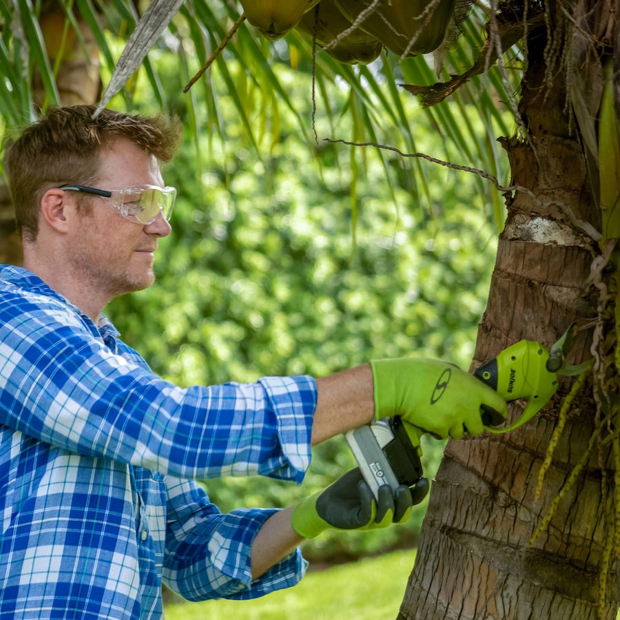 Image 735798_ALTMORE4.jpg, Product 735-798 / Price $199.99, Sun Joe 24-Volt IonMax Cordless Handheld and Long-Reach Pruner and Lopper Tool from Snow Joe & Sun Joe on TSC.ca's Home & Garden department