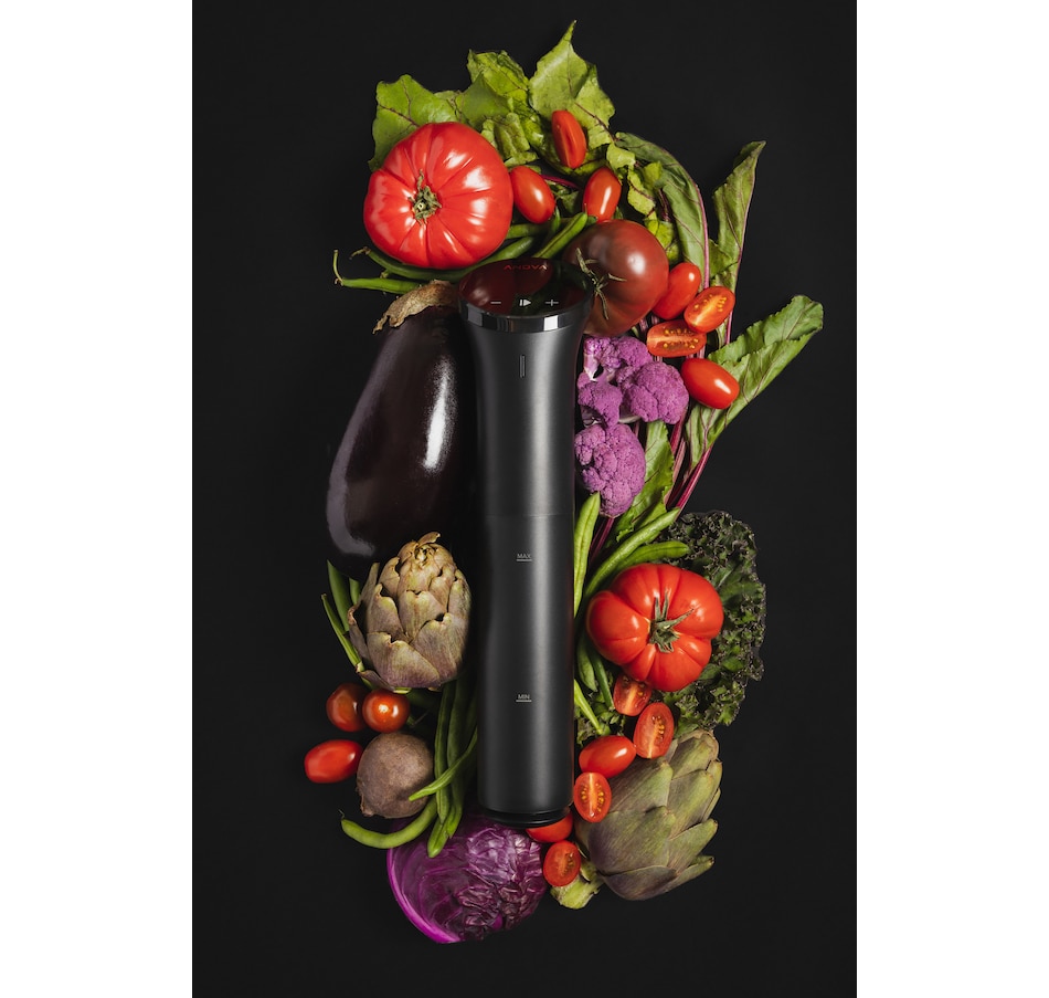 Image 735905_ALTMORE5.jpg, Product 735-905 / Price $174.99, Anova Precision Sous Vide Cooker Nano 3.0 from Anova on TSC.ca's Kitchen department
