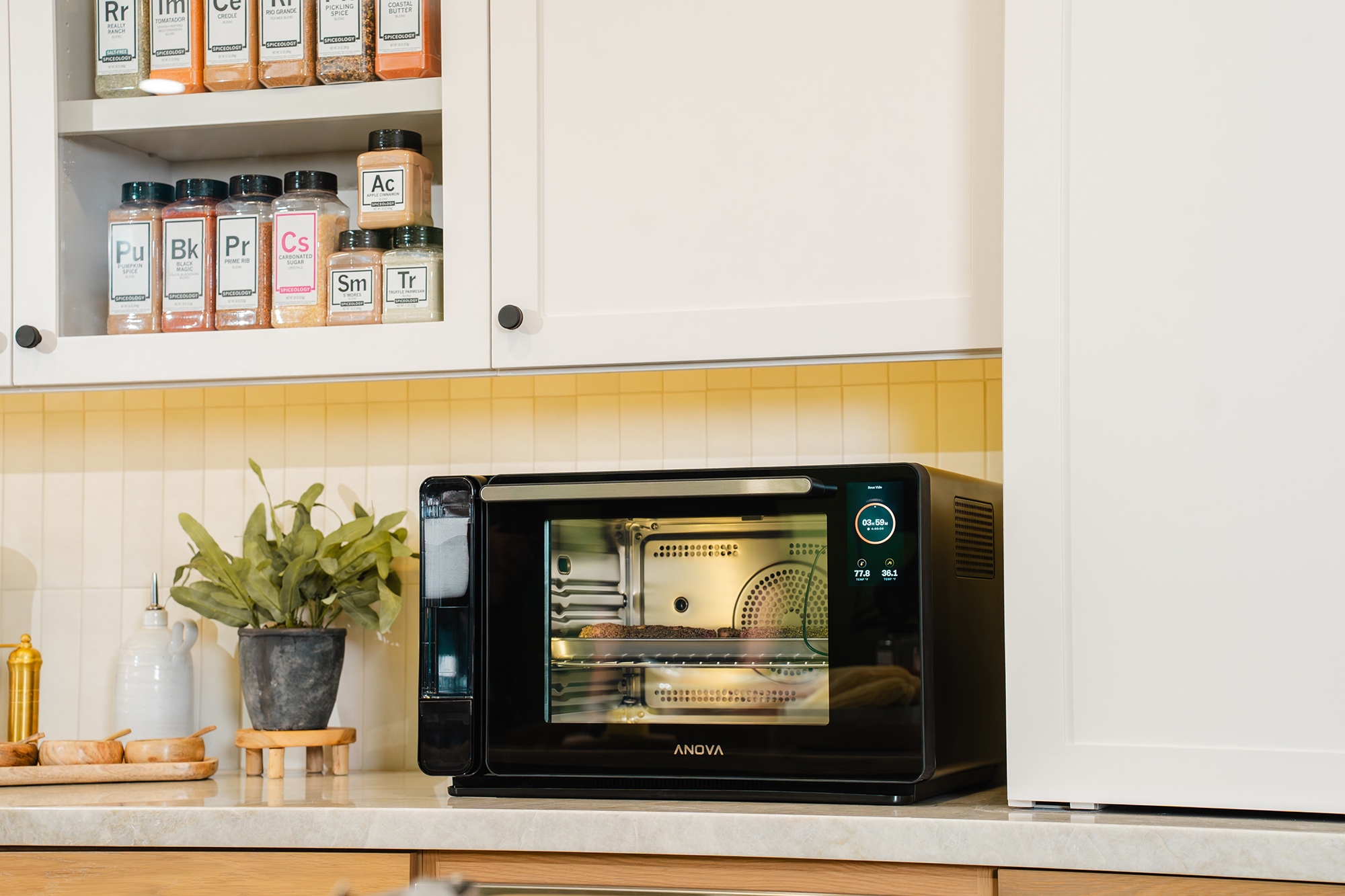 Anova Precision Oven V2 - TSC.ca