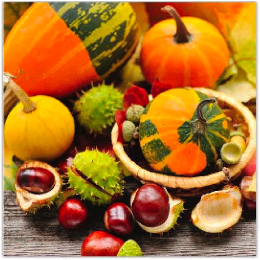 Image 735978.jpg, Product 735-978 / Price $34.99, IH Casa Décor Luncheon 3-Ply Napkins (pumpkins and chestnuts, 20-pack) from IH Casa Decor on TSC.ca's Kitchen department
