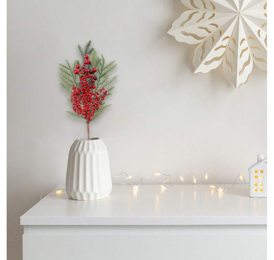 Image 737720_ALTMORE1.jpg, Product 737-720 / Price $39.99, IH Casa Décor Pine and Berries Pick (set of 6) from IH Casa Decor on TSC.ca's Home & Garden department