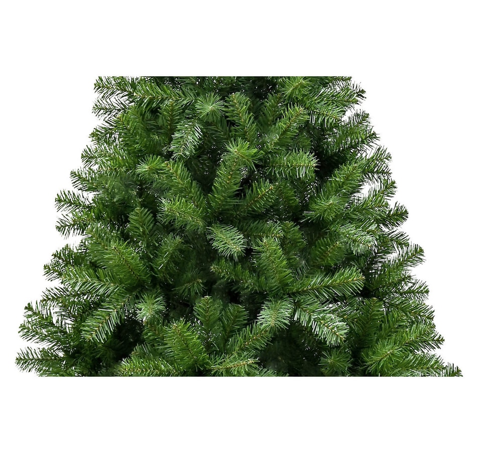 Image 737763_ALTMORE1.jpg, Product 737-763 / Price $99.99, Puleo 6.5' Dixon Pine Tree from Puleo on TSC.ca's Home & Garden department