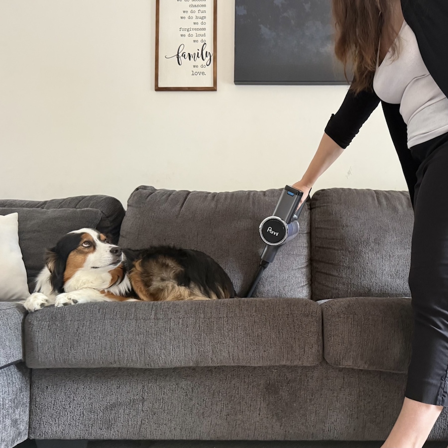 Image 737781_ALTMORE14.jpg, Product 737-781 / Price $149.99, Panni 4-in-1 Self-Standing Cordless Stick Vacuum with Two Batteries from Panni on TSC.ca's Home & Garden department