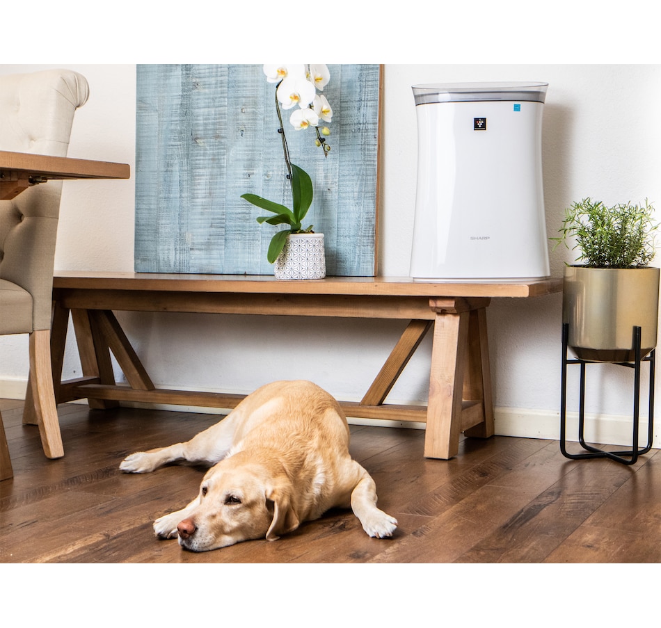 Image 738299_ALTMORE14.jpg, Product 738-299 / Price $349.99, Sharp FP-K50UW Plasmacluster Air Purifier from Sharp on TSC.ca's Home & Garden department