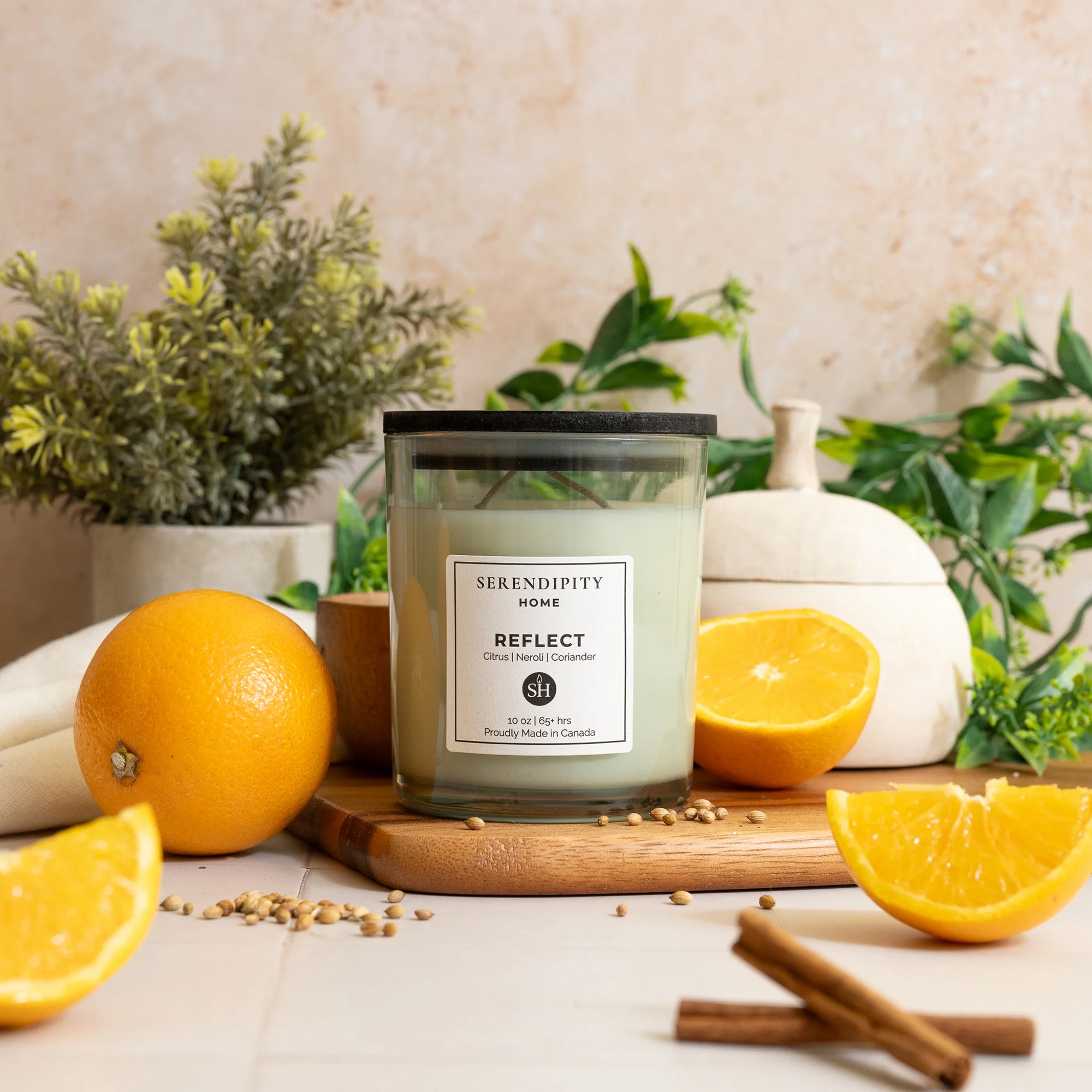 Serendipity Home Reflect Candle - TSC.ca