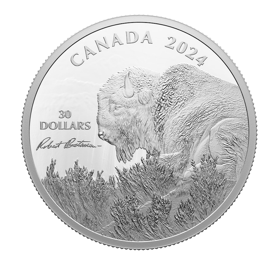 Image 739338.jpg, Product 739-338 / Price $229.95, 2024 $30 Bison “Weather Watch” Robert Bateman, Two Ounce Fine Silver Coin from Royal Canadian Mint on TSC.ca's Coins department