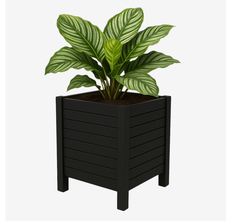 Image 739677_ALTMORE01.jpg, Product 739-677 / Price $47.99, Tierra Verde 17" x 17" Flora Cube Planter (4 panels) from Tierra Verde on TSC.ca's Home & Garden department