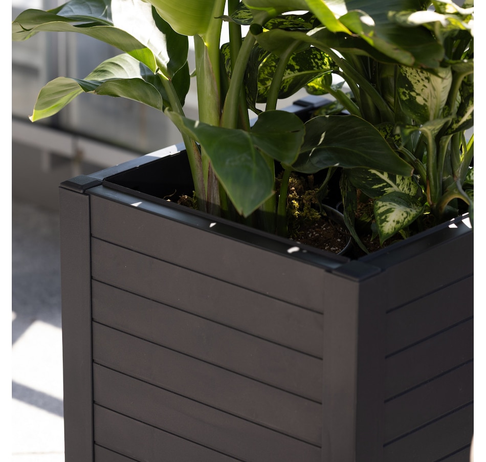 Image 739677_ALTMORE02.jpg, Product 739-677 / Price $47.99, Tierra Verde 17" x 17" Flora Cube Planter (4 panels) from Tierra Verde on TSC.ca's Home & Garden department