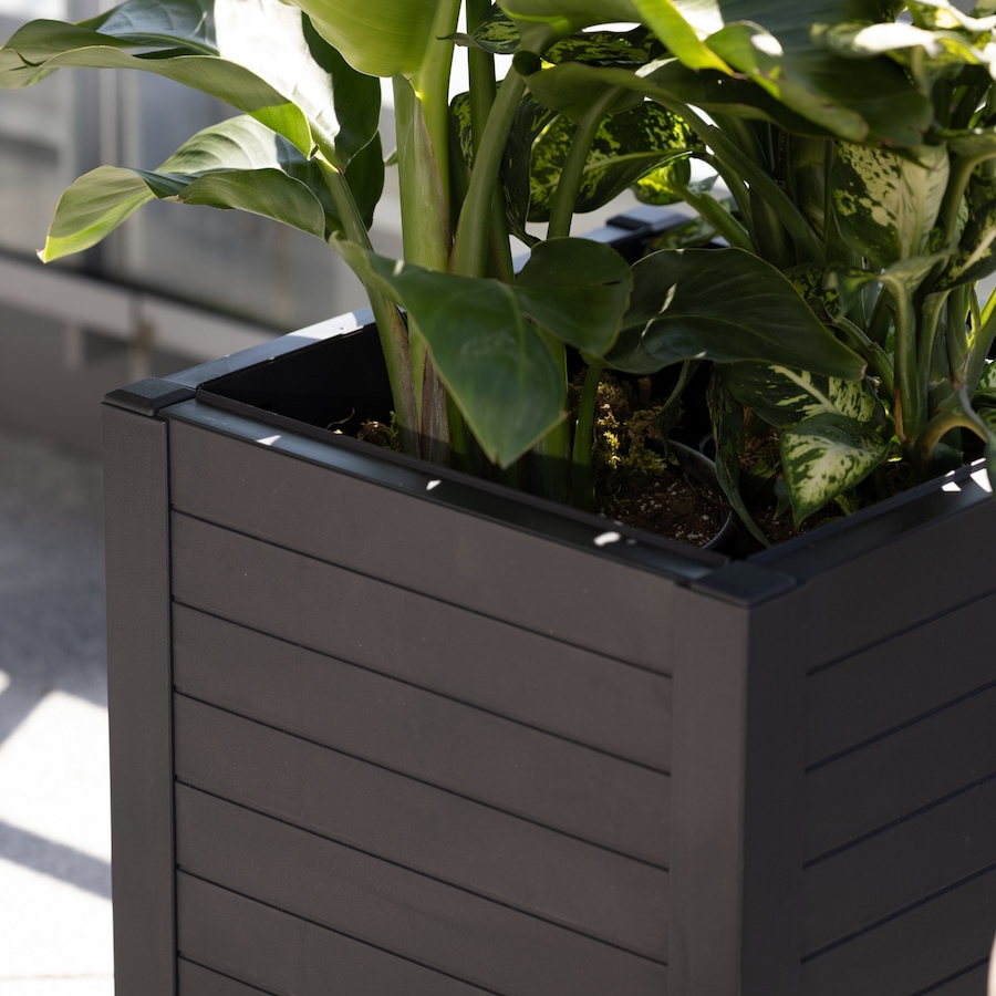 Image 739677_ALTMORE02.jpg, Product 739-677 / Price $59.99, Tierra Verde 17" x 17" Flora Cube Planter (4 panels) from Tierra Verde on TSC.ca's Home & Garden department