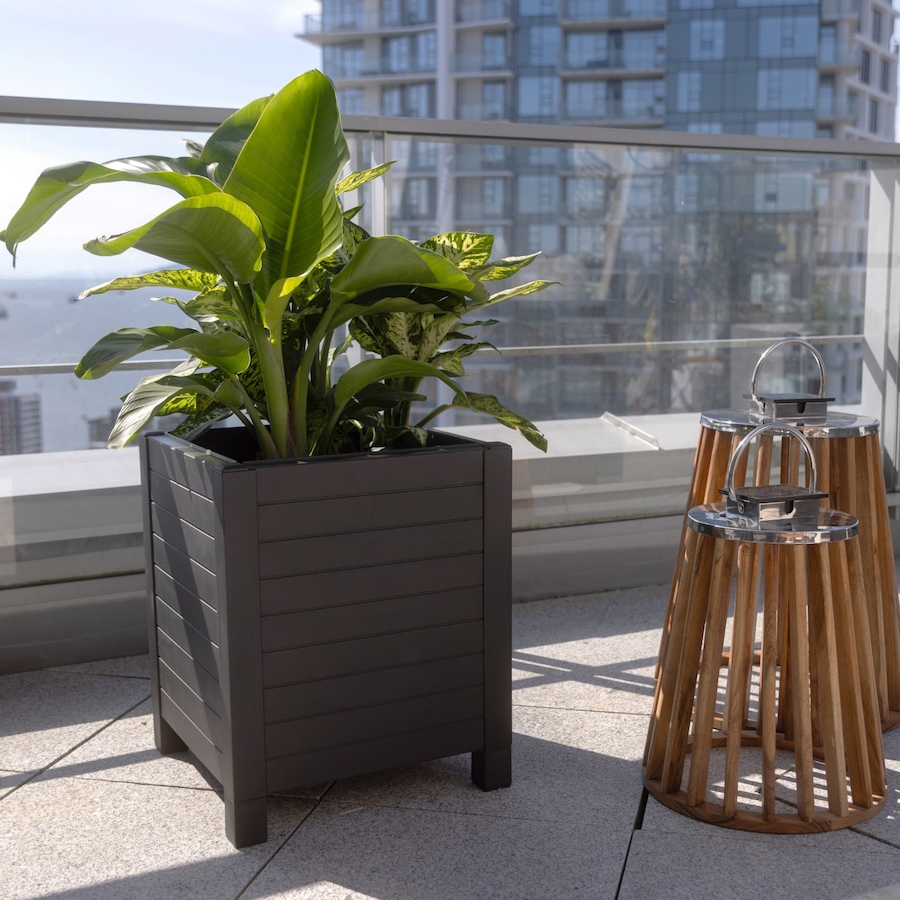 Image 739677_ALTMORE03.jpg, Product 739-677 / Price $59.99, Tierra Verde 17" x 17" Flora Cube Planter (4 panels) from Tierra Verde on TSC.ca's Home & Garden department