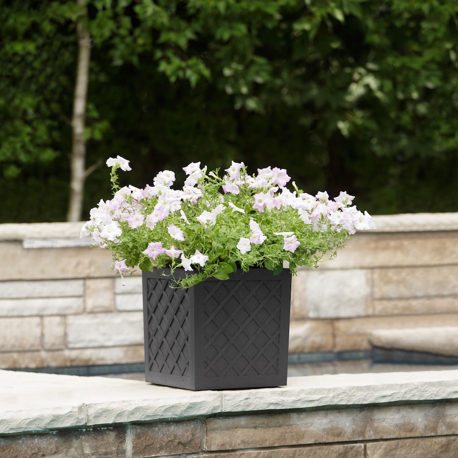 Image 739684_ALTMORE05.jpg, Product 739-684 / Price $54.99, Tierra Verde 14" Citadel Lattice Planter from Tierra Verde on TSC.ca's Home & Garden department