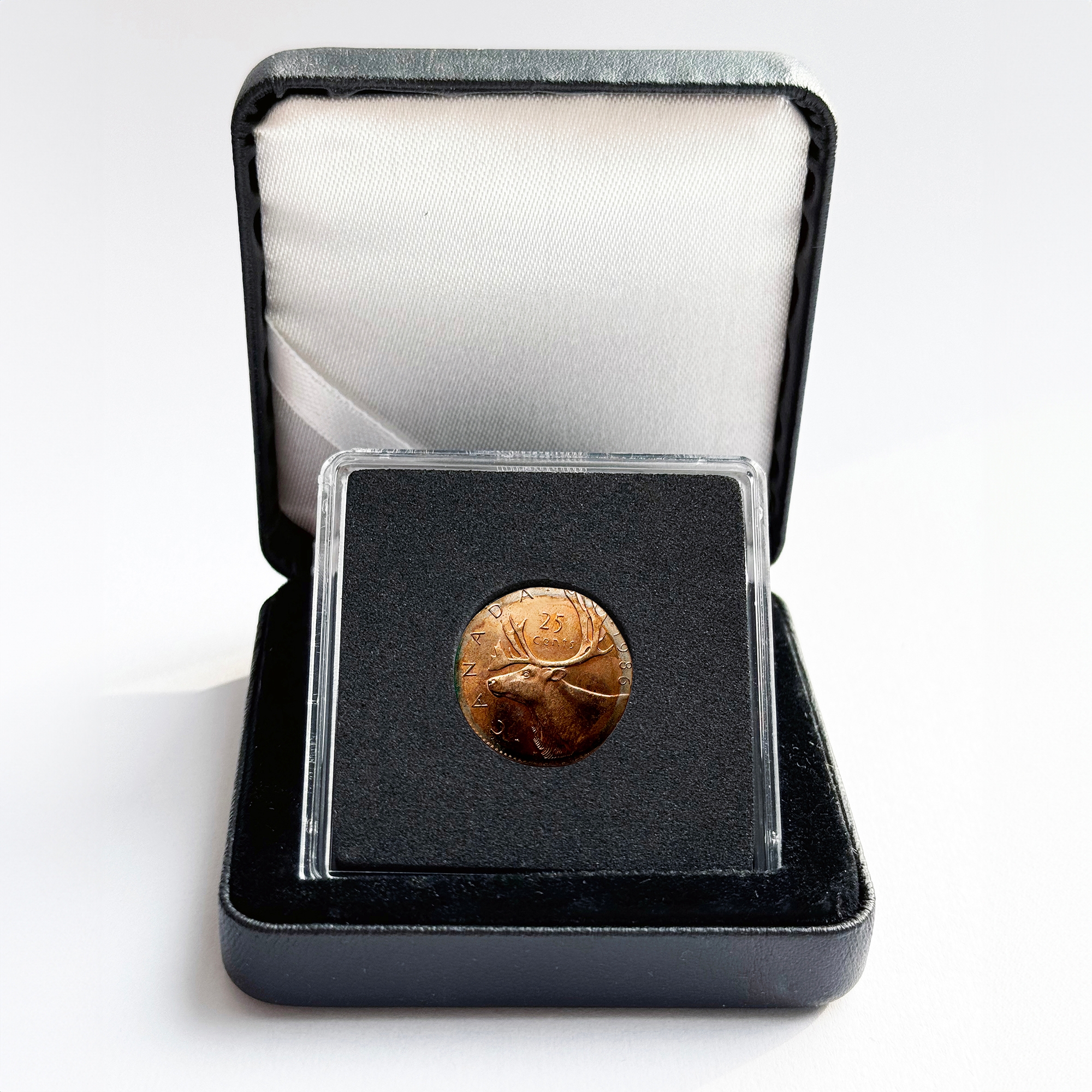 Turning Point 機種不明 ストーン Rare Canadian Major Error Coin: Uncirculated Quarter Struck on