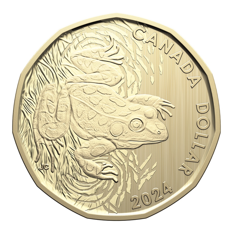 Image 742576_ALTMORE1.jpg, Product 742-576 / Price $64.95, 2024 Specimen Coin Set (Includes Unique Leopard Frog Loon Dollar) from Royal Canadian Mint (RCM) on TSC.ca's Coins department