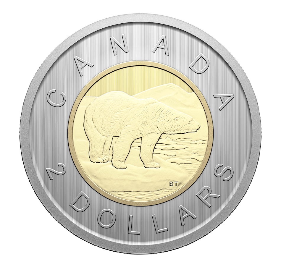 Image 742576_ALTMORE3.jpg, Product 742-576 / Price $64.95, 2024 Specimen Coin Set (Includes Unique Leopard Frog Loon Dollar) from Royal Canadian Mint (RCM) on TSC.ca's Coins department