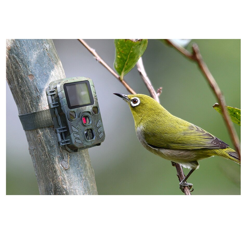 Image 742684_ALTMORE9.jpg, Product 742-684 / Price $114.99, Technaxx TX-117 Full HD 1080p Mini Nature Wild Cam (camo) from Technaxx on TSC.ca's Electronics department