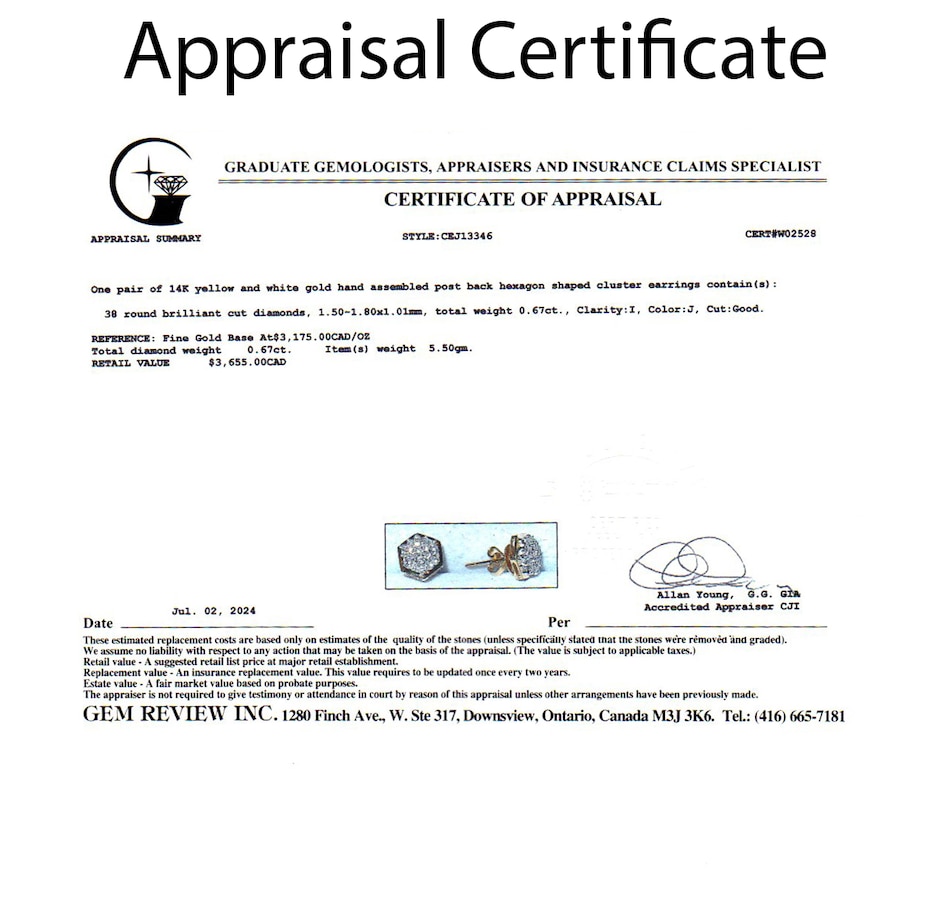 Image 745637_ALTMORE4.jpg, Product 745-637 / Price $1,795.00, Estate Originals 14K Yellow and White Hexagonal Diamond Stud Earrings from Estate Originals on TSC.ca's Jewellery department