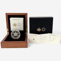 2025 $200 Fine Gold Crown Jewels Coin Williamson Diamond Brooch