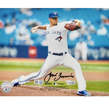 Sports - Fan Gear - Jerseys - Fanatics Autographed Jose Berrios Toronto Blue  Jays Majestic Jersey - Online Shopping for Canadians
