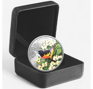 2025 $20 Fine Silver Colourful Birds: Baltimore Oriole
