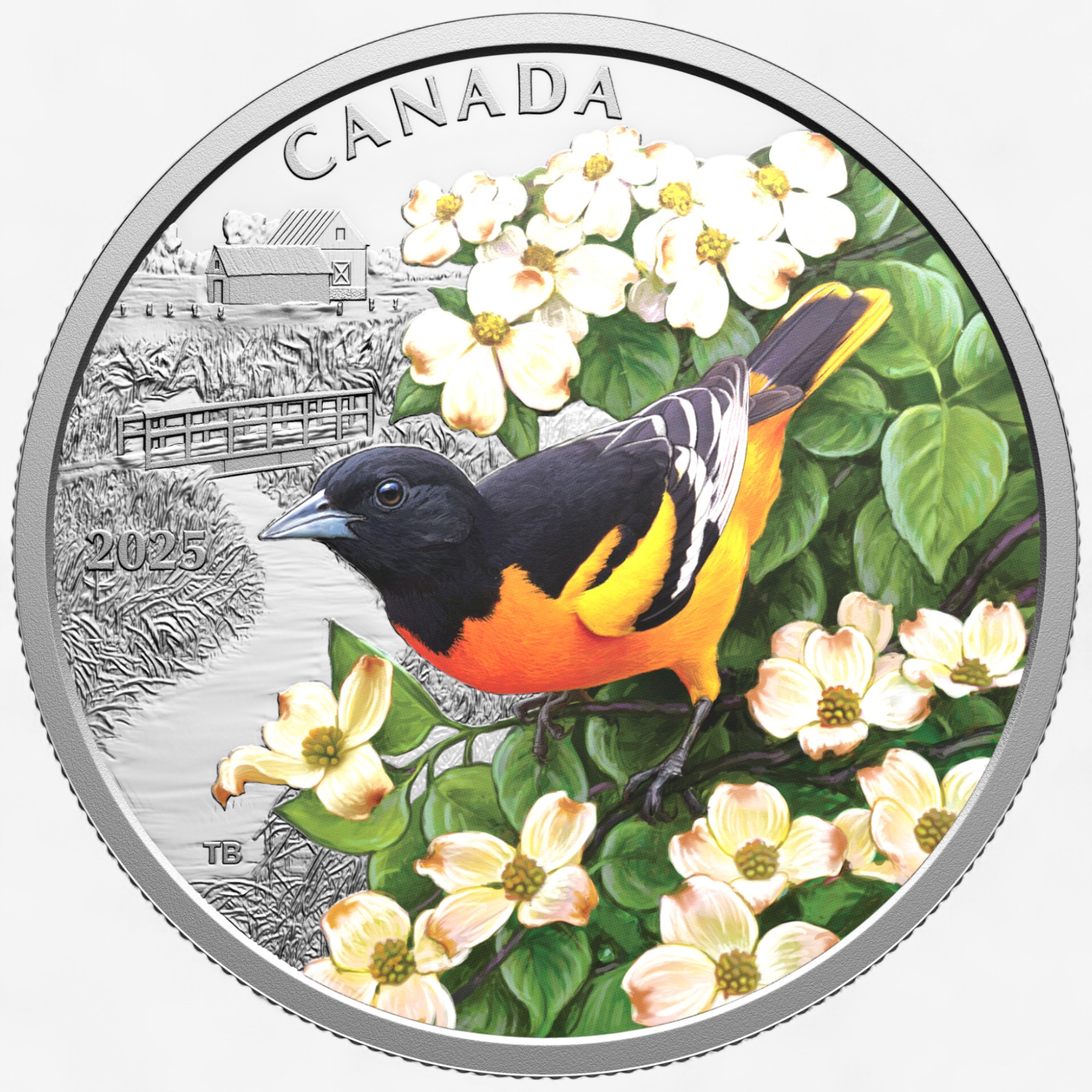 2025 $20 Fine Silver Colourful Birds: Baltimore Oriole - TSC.ca