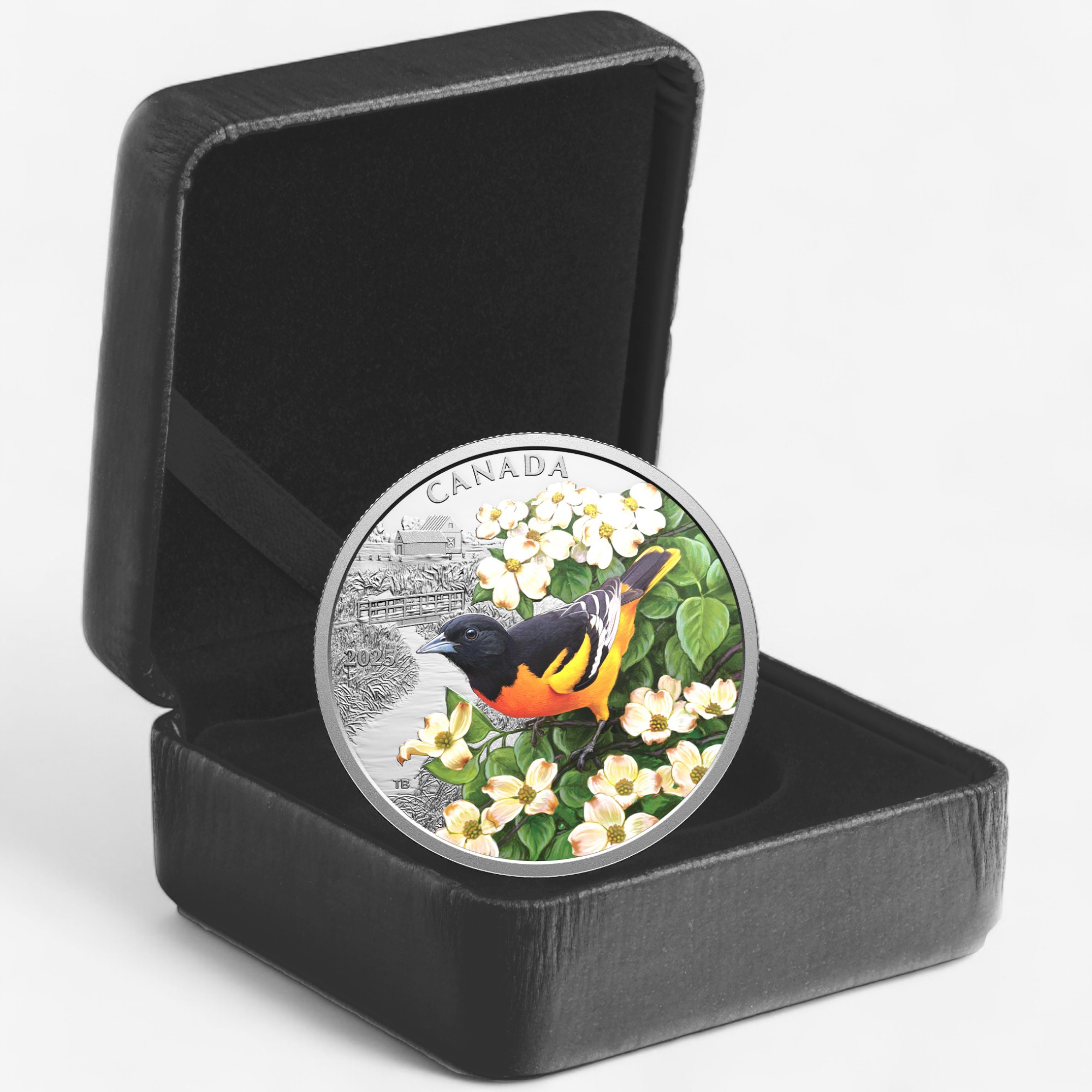 2025 $20 Fine Silver Colourful Birds: Baltimore Oriole - TSC.ca