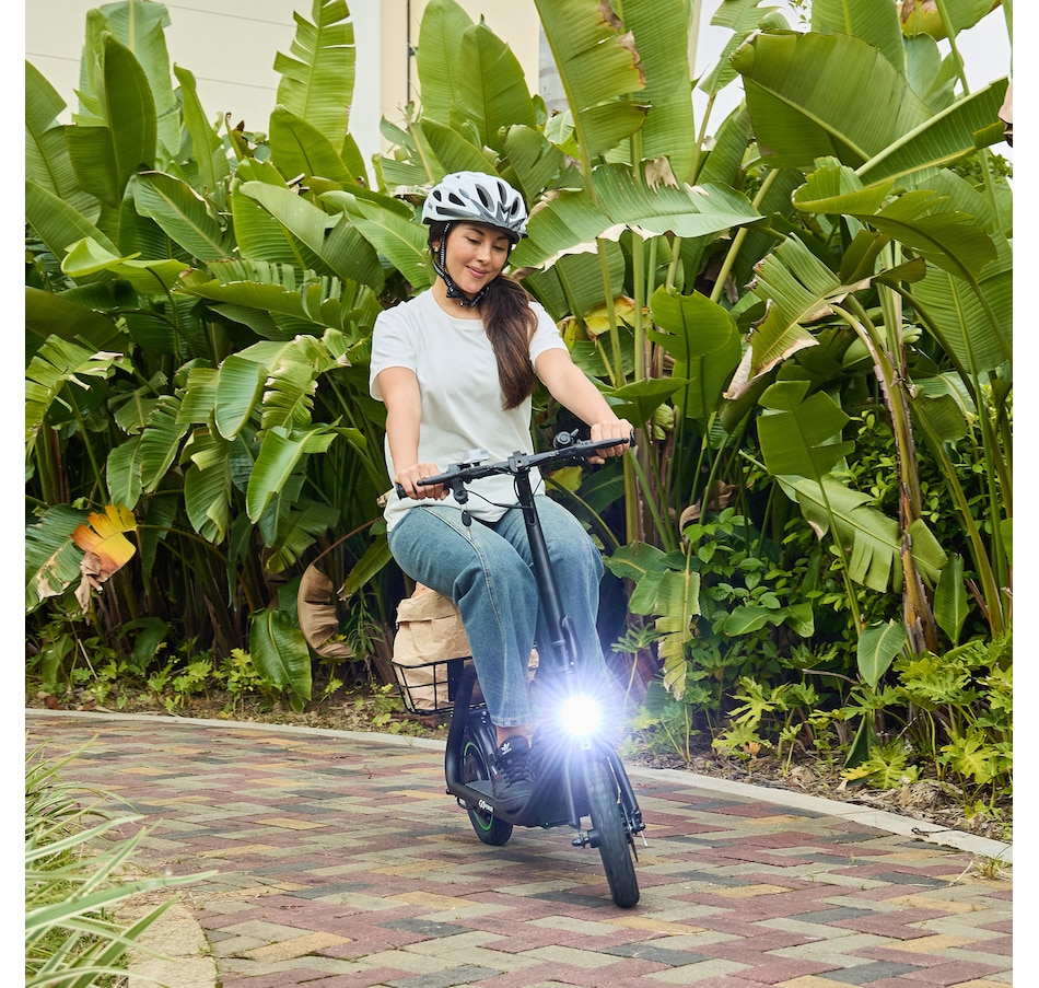 Image 752687_ALTMORE12.jpg, Product 752-687 / Price $599.00, Go Power GoFlow Sit Down Scooter from Go Power E-Bikes on TSC.ca's Health & Fitness department