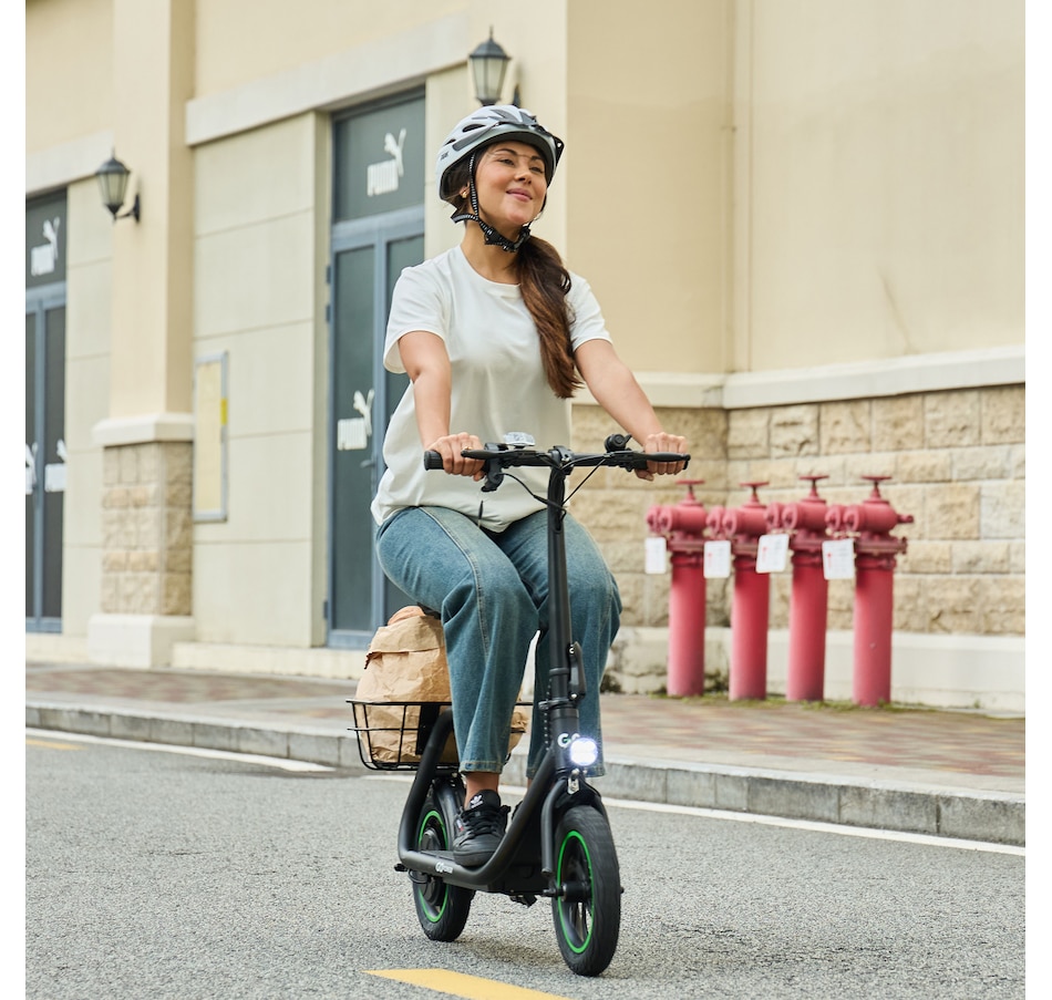 Image 752687_ALTMORE9.jpg, Product 752-687 / Price $599.00, Go Power GoFlow Sit Down Scooter from Go Power E-Bikes on TSC.ca's Health & Fitness department