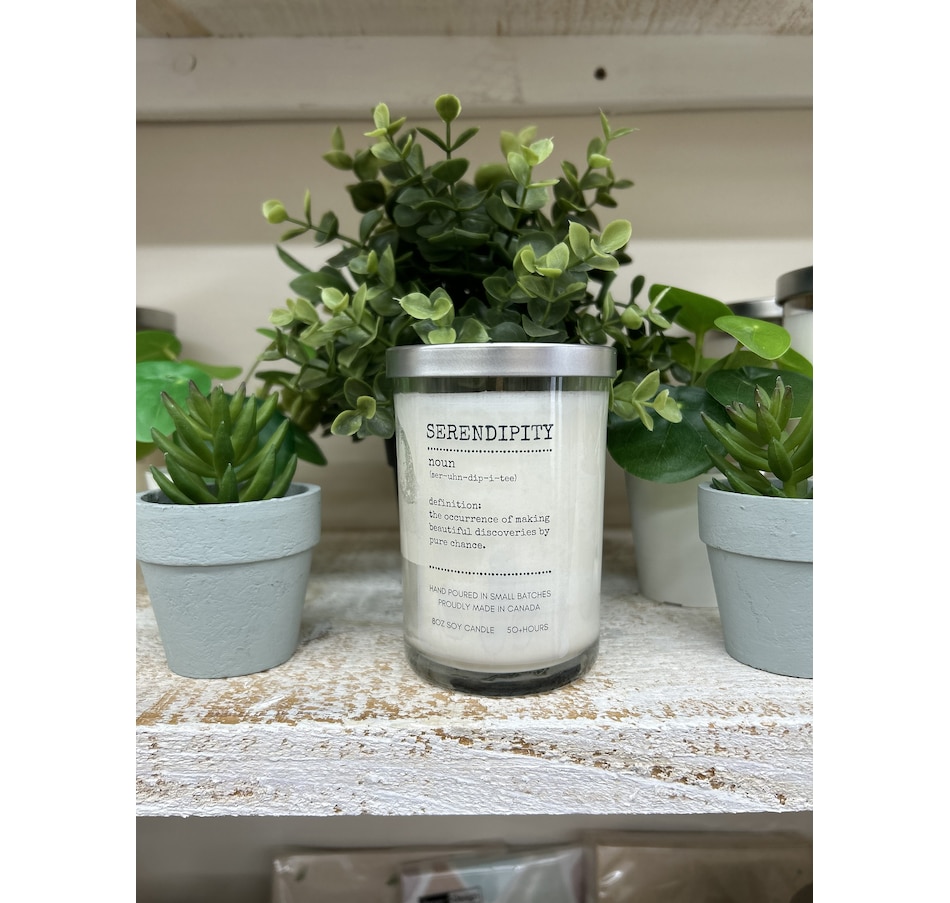 Image 753720_ALTMORE3.jpg, Product 753-720 / Price $25.00, Serendipity Soy Candles Just My Type Collection 8-oz Tumbler from Serendipity candles on TSC.ca's Home & Garden department