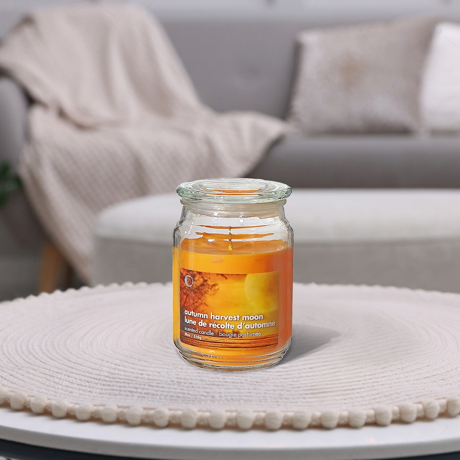Image 754370_ALTMORE1.jpg, Product 754-370 / Price $34.99, IH Casadecor 18-oz Scented Jar with Glass Lid (set of 2) from IH Casa Decor on TSC.ca's Home & Garden department