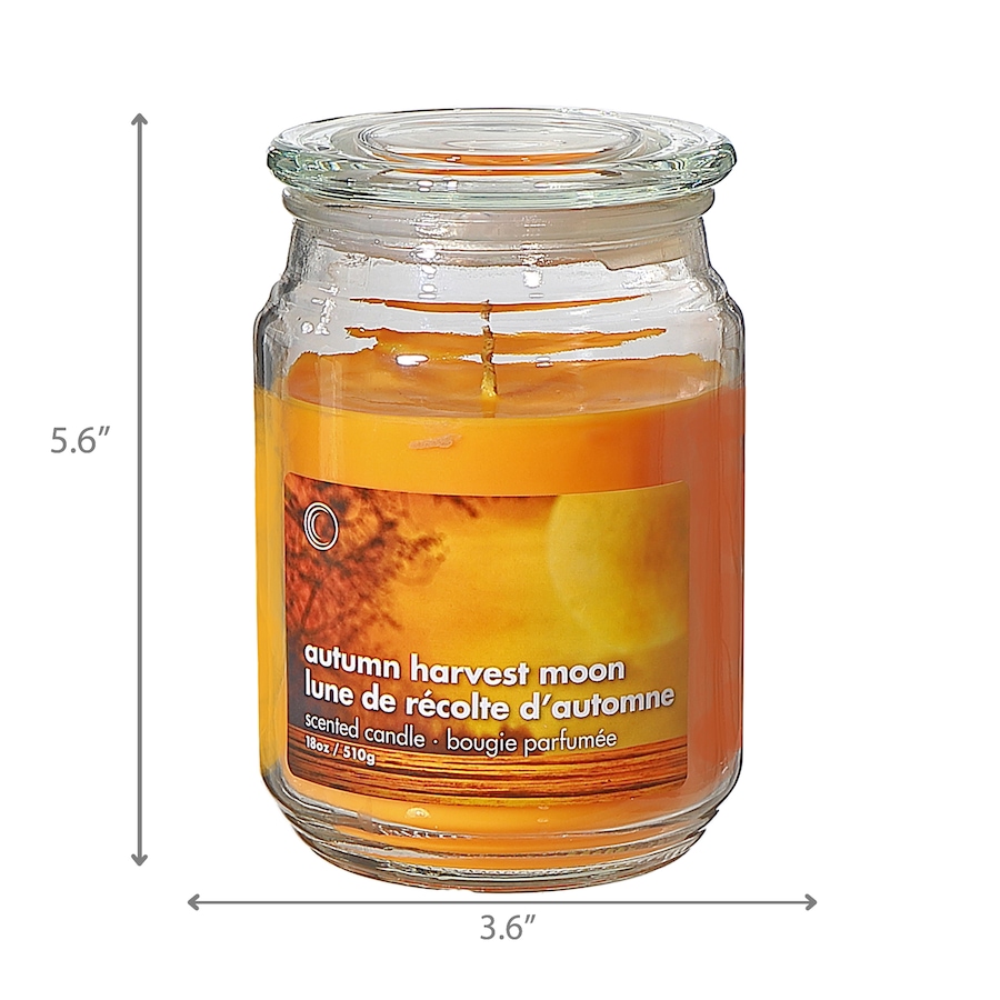 Image 754370_ALTMORE2.jpg, Product 754-370 / Price $34.99, IH Casadecor 18-oz Scented Jar with Glass Lid (set of 2) from IH Casa Decor on TSC.ca's Home & Garden department