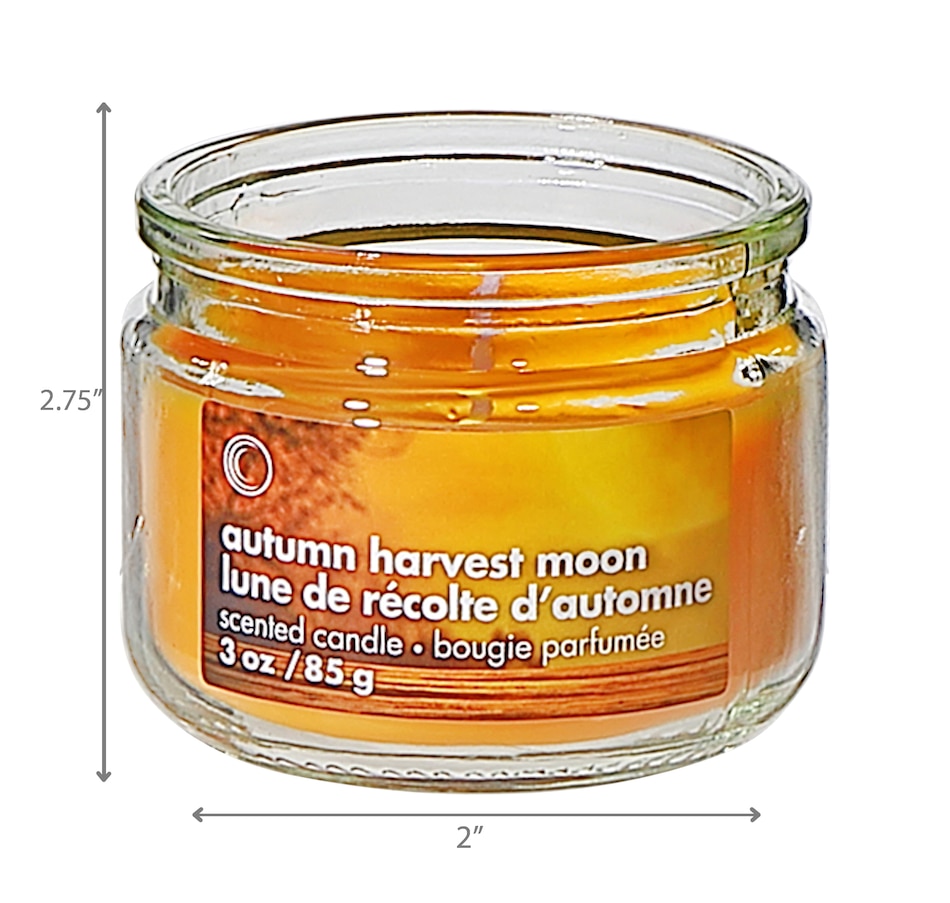 Image 754371_ALTMORE2.jpg, Product 754-371 / Price $24.99, IH Casadecor 3-oz Scented Glass Jar with Lid Pumpkin Cider Donut (set of 4) from IH Casa Decor on TSC.ca's Home & Garden department