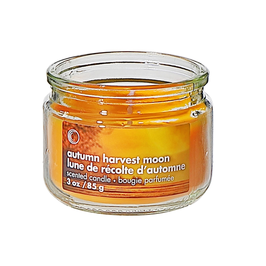 Image 754371_AUTMN.jpg, Product 754-371 / Price $24.99, IH Casadecor 3-oz Scented Glass Jar with Lid Pumpkin Cider Donut (set of 4) from IH Casa Decor on TSC.ca's Home & Garden department