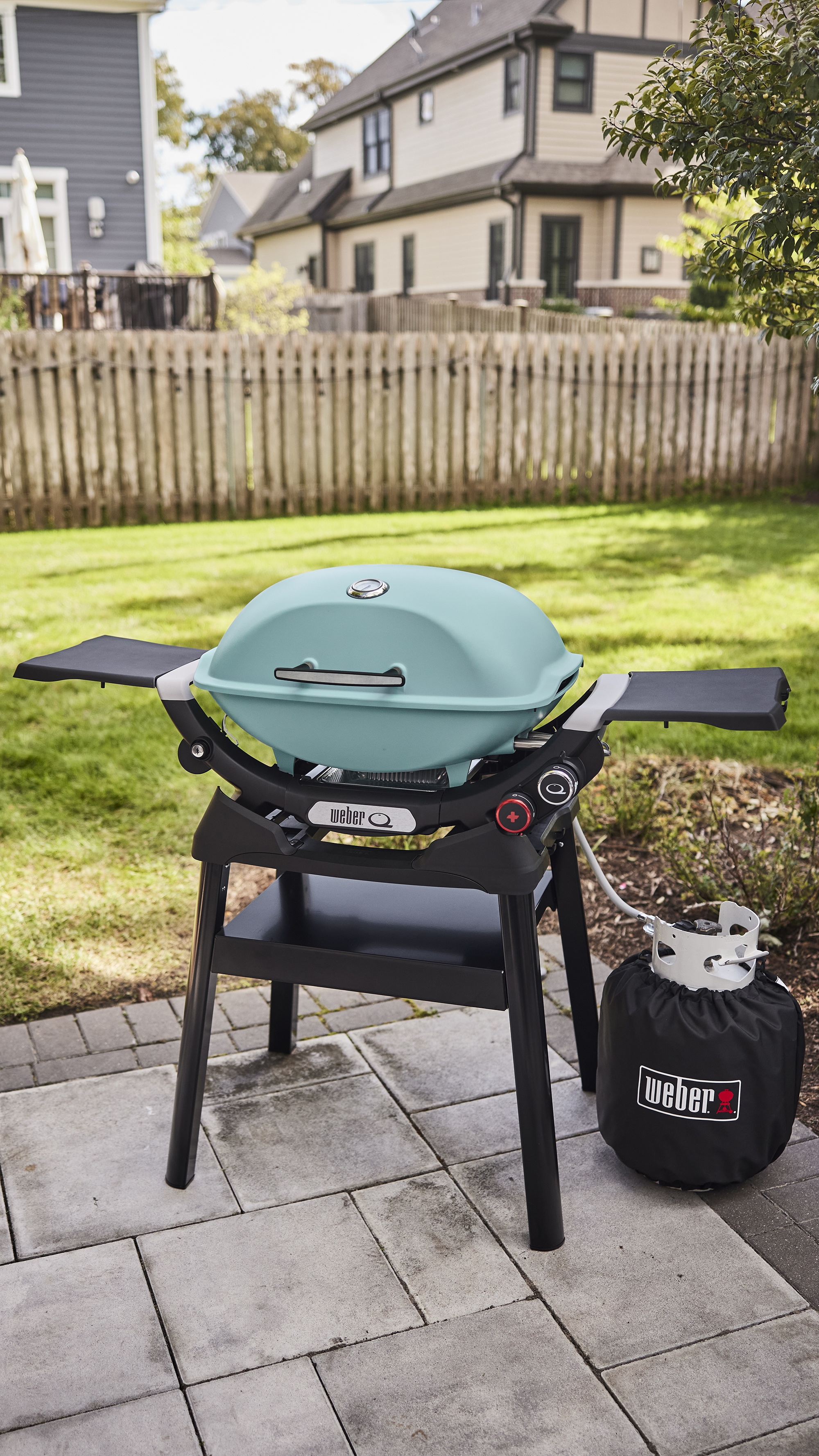 Weber 30
