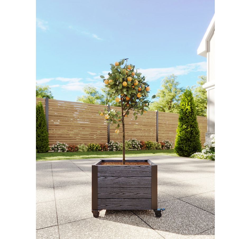 Image 754804_ALTMORE2.jpg, Product 754-804 / Price $154.99, Vita Urbana Vinyl Planter with Wheels from Vita on TSC.ca's Home & Garden department