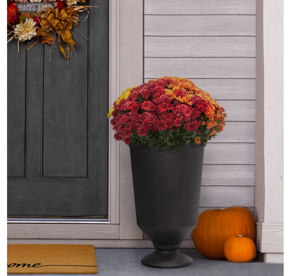 Image 754834_ALTMORE1.jpg, Product 754-834 / Price $64.99, Tierra Verde Vibrato Modern Urn Recycled Self-Watering Indoor/Outdoor Large Planter from Tierra Verde on TSC.ca's Home & Garden department