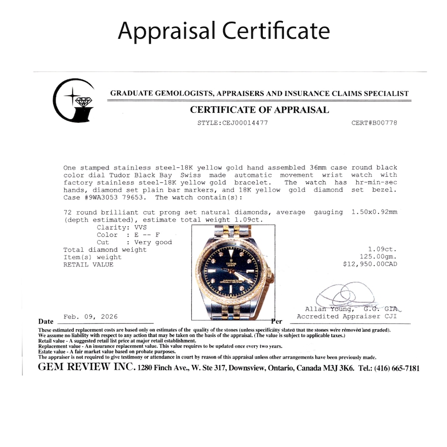 Image 755849_ALTMORE5.jpg, Product 755-849 / Price $9,995.00, Estate Originals Stainless Steel and 18K Yellow Gold Tudor Black Bay Watch with Diamond Bezel and Diamond Markers from Estate Originals on TSC.ca's Jewellery department