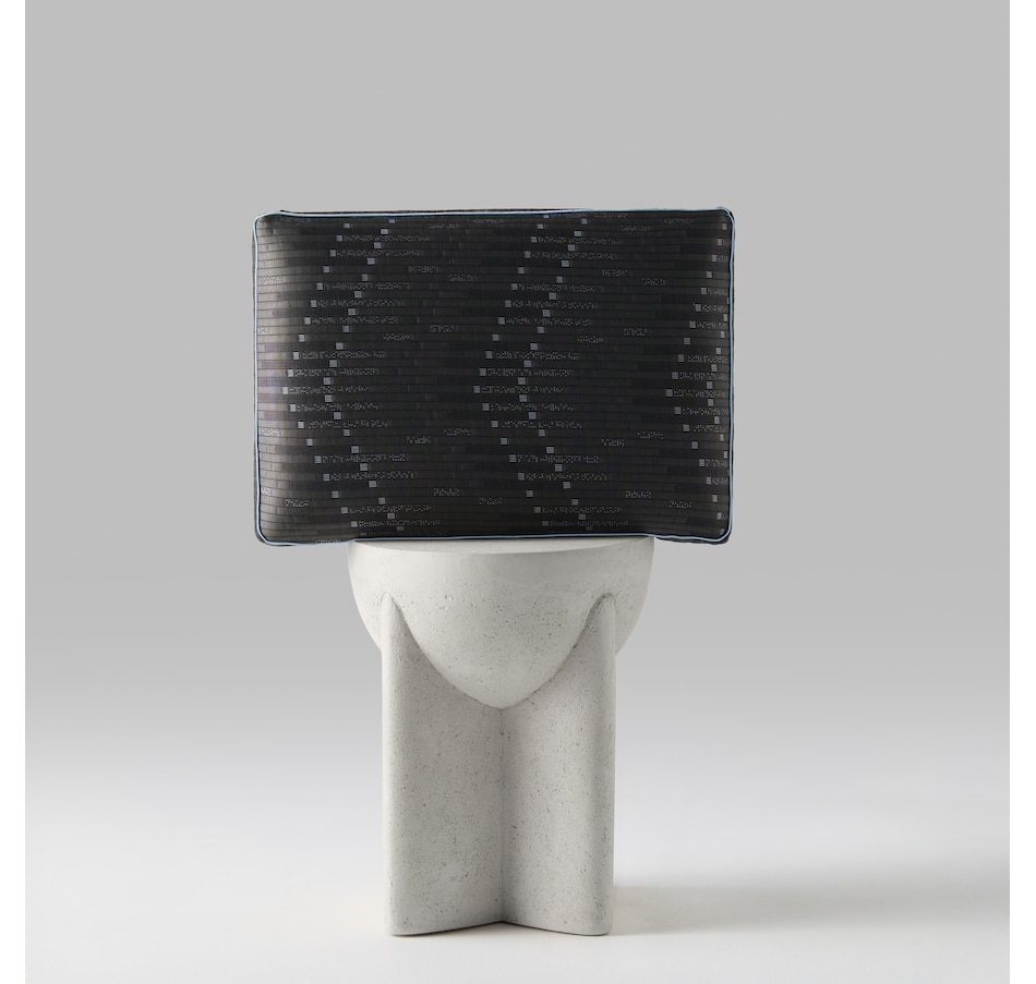 Image 759881_ALTMORE1.jpg, Product 759-881 / Price $199.00 - $239.00, Hush Graph-Iced Pillow (plush) from Hush on TSC.ca's Home & Garden department