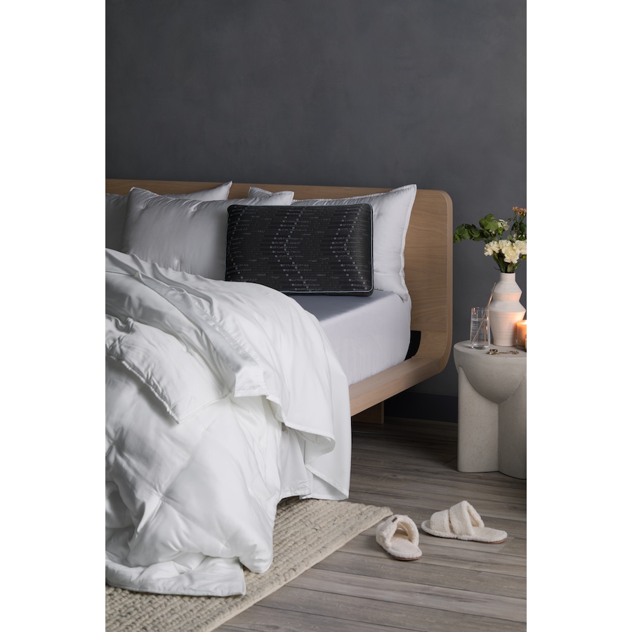 Image 759881_ALTMORE3.jpg, Product 759-881 / Price $249.00 - $299.00, Hush Graph-Iced Pillow (plush) from Hush on TSC.ca's Home & Garden department