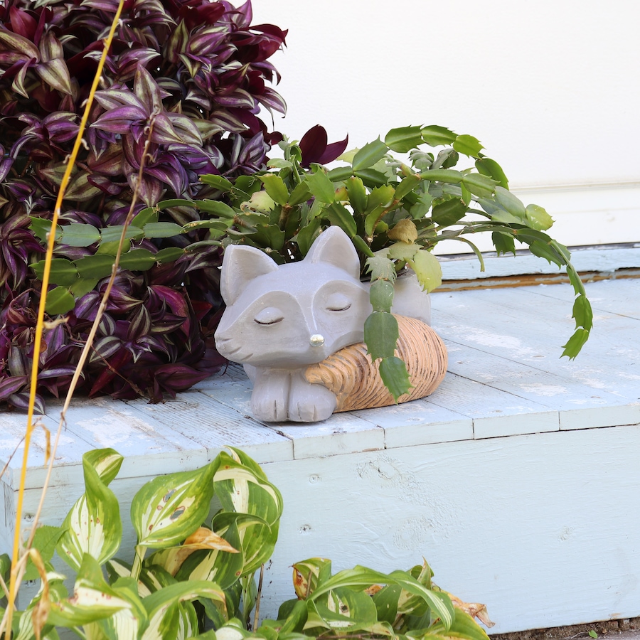 Image 808552_ALTMORE18.jpg, Product 808-552 / Price $54.75, Finley the Fox Planter Statue - Indoor Flower Pot - 8-Inch from Sunnydaze Décor on TSC.ca's Home & Garden department