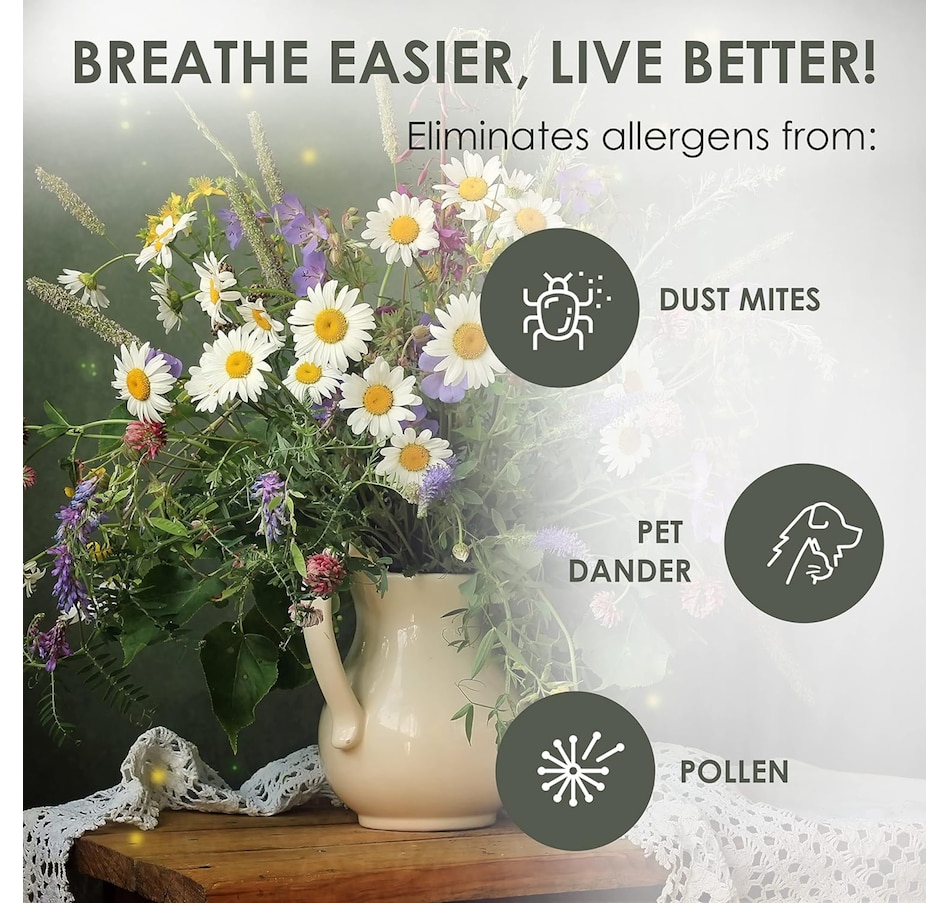 Image 829857_ALTMORE3.jpg, Product 829-857 / Price $26.99, JumblClean Unscented Anti Allergen Spray - Eco-Friendly Household Cleaner - 32 fl oz (946 ml) from Jumbl on TSC.ca's department