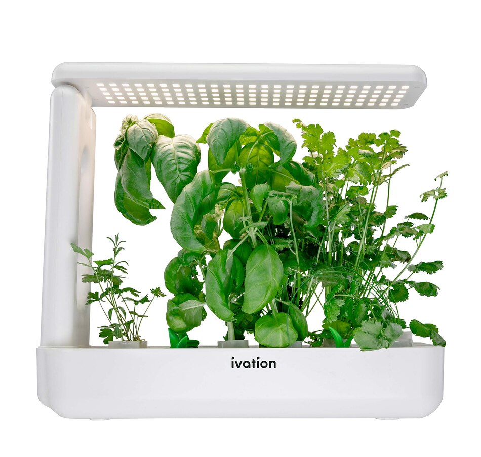 Image 829863_ALTMORE3.jpg, Product 829-863 / Price $9.50, Ivation 5 Replacement Hydroponics Seed Pods for IVAHG20 Indoor Herb Growing Kit from Ivation on TSC.ca's Home & Garden department