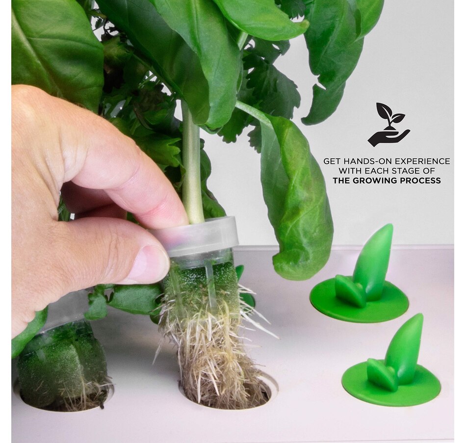 Image 829863_ALTMORE4.jpg, Product 829-863 / Price $9.50, Ivation 5 Replacement Hydroponics Seed Pods for IVAHG20 Indoor Herb Growing Kit from Ivation on TSC.ca's Home & Garden department