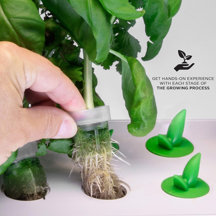 Image 829863_ALTMORE4.jpg, Product 829-863 / Price $9.50, Ivation 5 Replacement Hydroponics Seed Pods for IVAHG20 Indoor Herb Growing Kit from Ivation on TSC.ca's Home & Garden department