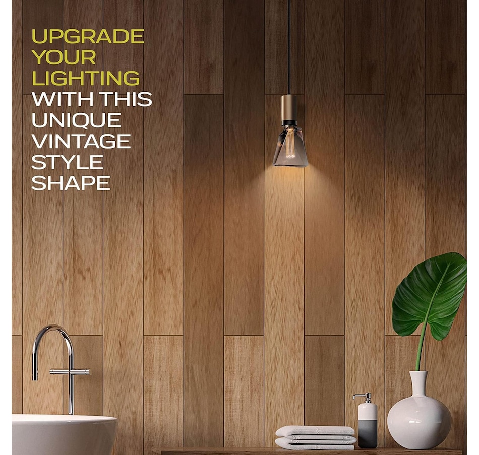 Image 829921_ALTMORE11.jpg, Product 829-921 / Price $29.99, Next Glow Decorative Light bulb Eq 20W, ICE Style Decorative Light Bulbs Shaped E26 55 Lumen - Smokey from Next Glow on TSC.ca's Home & Garden department