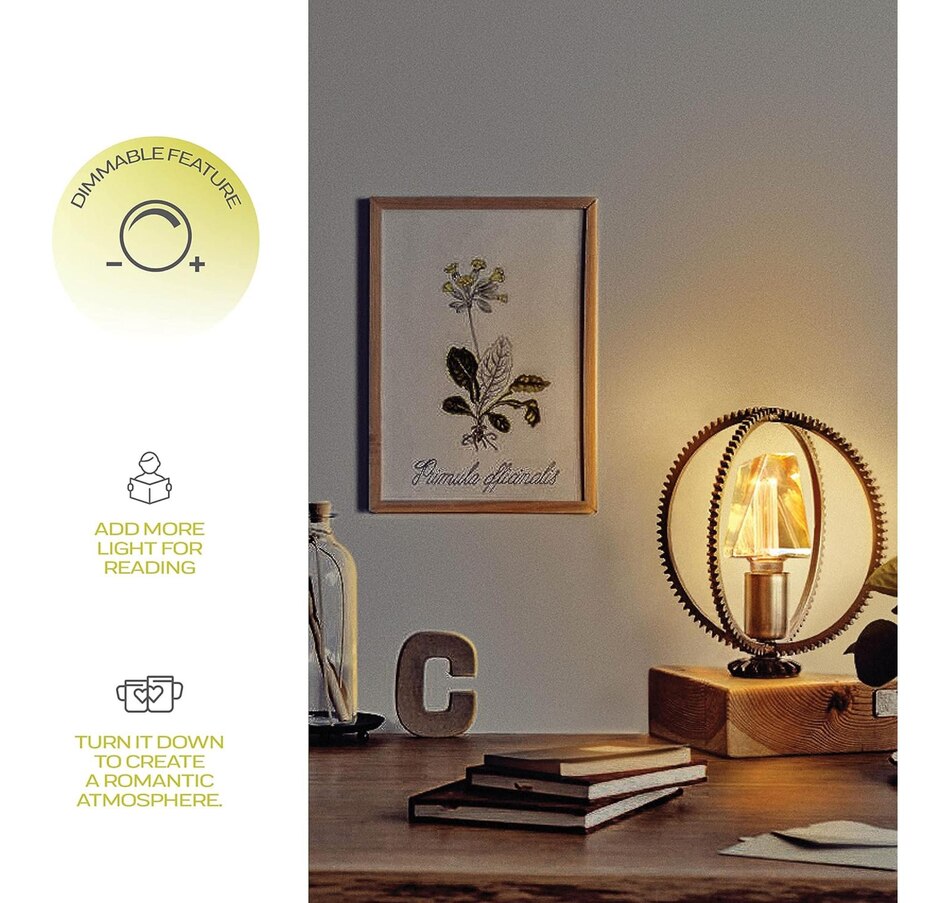 Image 829921_ALTMORE19.jpg, Product 829-921 / Price $29.99, Next Glow Decorative Light bulb Eq 20W, ICE Style Decorative Light Bulbs Shaped E26 55 Lumen - Smokey from Next Glow on TSC.ca's Home & Garden department