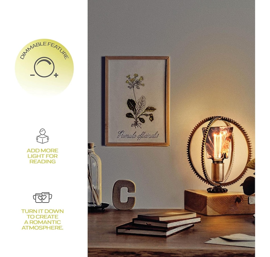 Image 829921_ALTMORE7.jpg, Product 829-921 / Price $29.99, Next Glow Decorative Light bulb Eq 20W, ICE Style Decorative Light Bulbs Shaped E26 55 Lumen - Smokey from Next Glow on TSC.ca's Home & Garden department