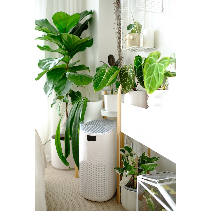 Image 860678_ALTMORE6.jpg, Product 860-678 / Price $399.99, JS Complete 5-in-1 SMART Ionic Air Purifier & Odour Eliminator from JS Innovations on TSC.ca's Home & Garden department