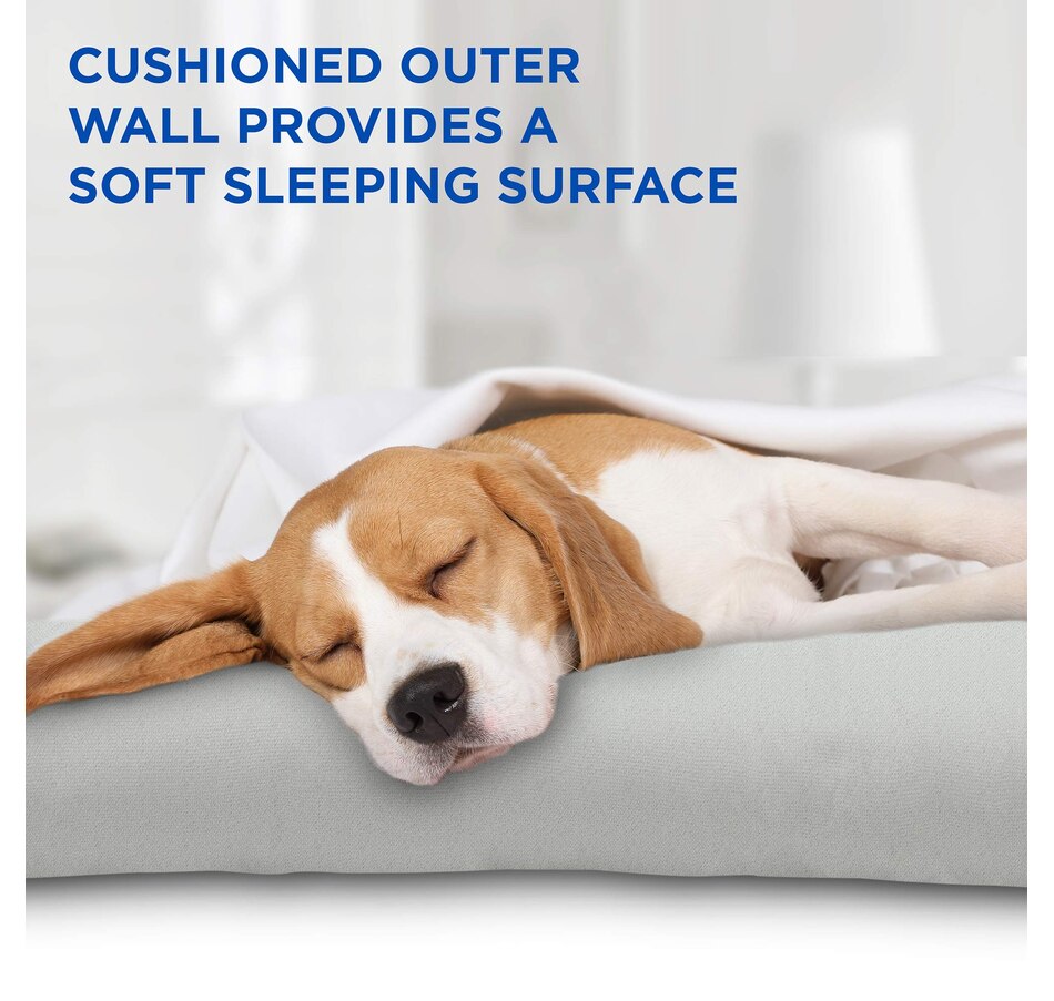 Image 870754_ALTMORE3.jpg, Product 870-754 / Price $89.99, Arf Pets Self Dog Cooling Mat, Solid Gel Based Pet Cooling Mat with Foam Based Bolster Bed - 22"x35" from Arf Pets on TSC.ca's Home & Garden department